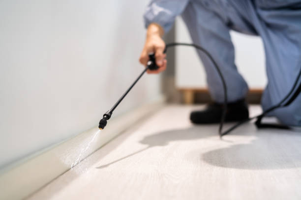 Licensed Fumigation Services service in Santee, CA - Nex Pest Control