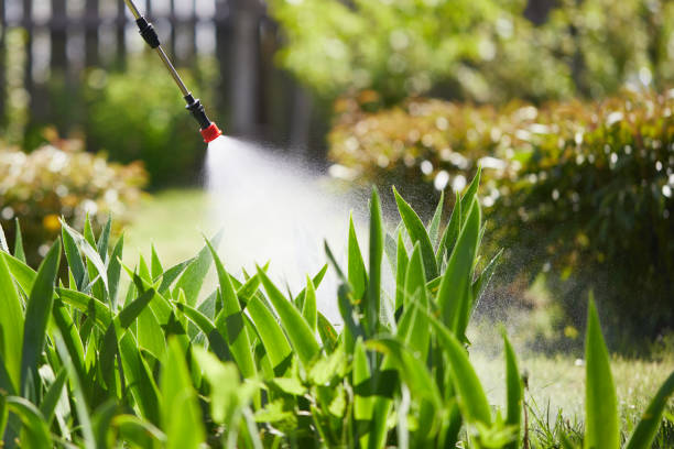 24/7 Emergency Fumigation Services experts in Santee, CA