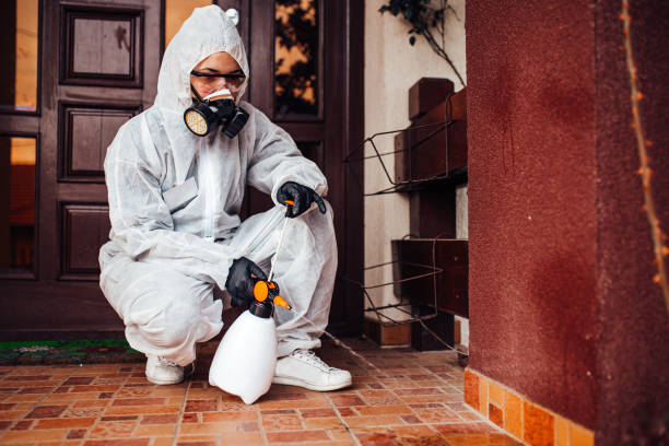Reliable Fumigation Services contractor in Santee, CA by Nex Pest Control