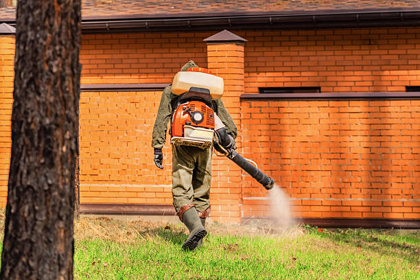 Top rated local Fumigation Services specialists in Santee, CA